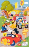 Mickey Scene